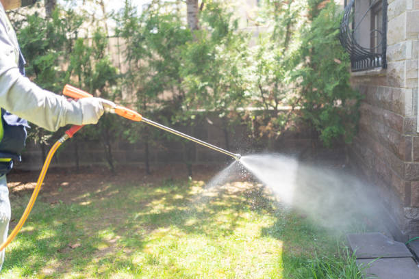 Best Fumigation Services  in Milan, NM